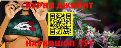 дживик Волжск