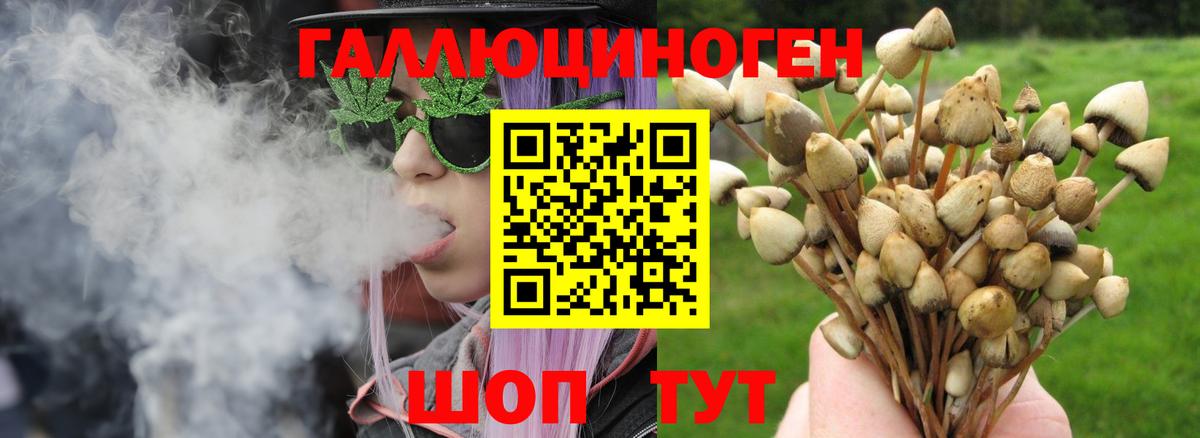 Псилоцибиновые грибы MAGIC MUSHROOMS  Вход с VPN  Псилоцибиновые грибы мицелий  Королёв 
